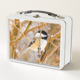 Lunch Box Mésange à tête noire - Photographie originale