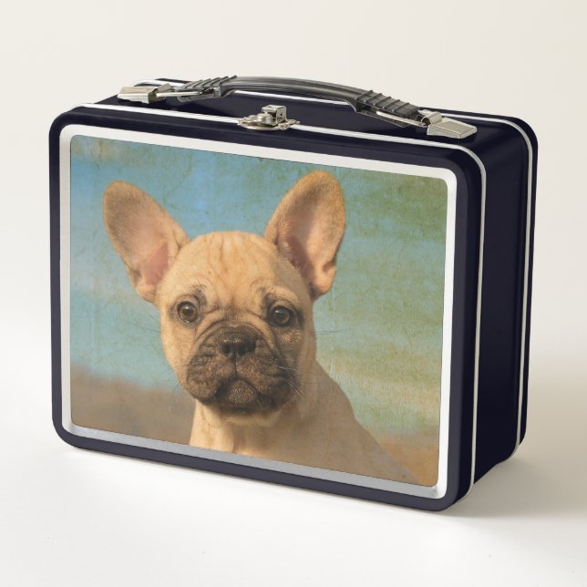 Lunch Box Mignonne chiot à chien roux français - Drôle photo (Devant)