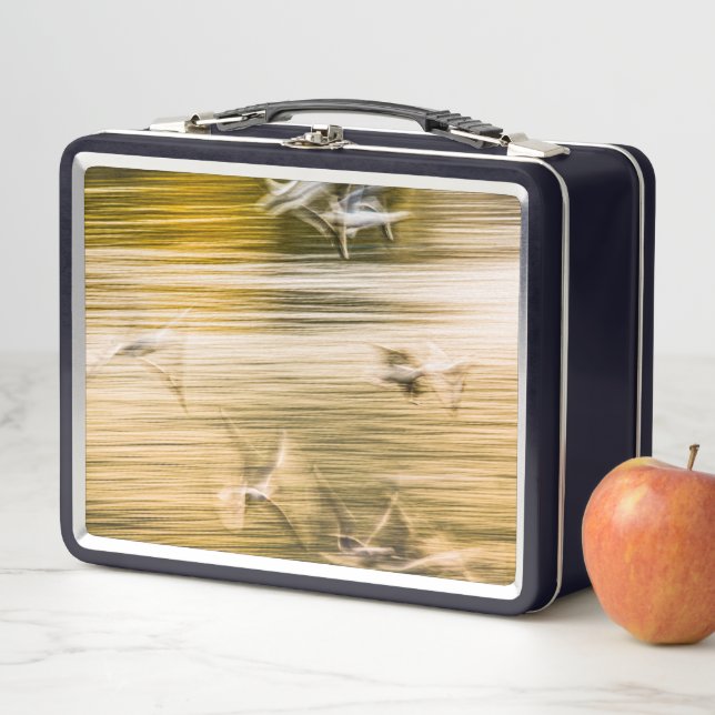 Lunch Box Mouettes volantes - abstrait (En situation)
