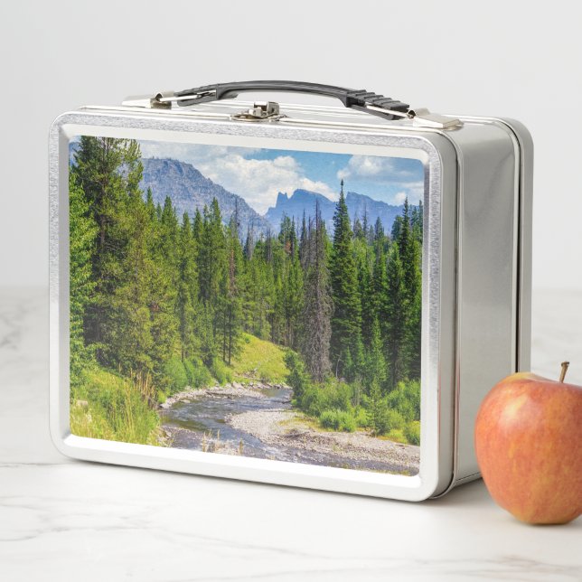 Lunch Box North Fork Shoshone River (En situation)