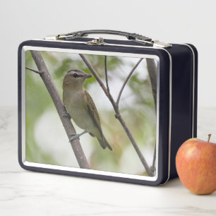 Lunch Box Oiseau vert, Vireo à yeux rouges, Photographie can