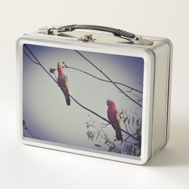 Lunch Box Oiseaux de Galah dans l'arbre 3 (Devant)