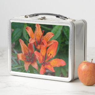 Lunch Box Orange Daylily Canadian Flower Photography