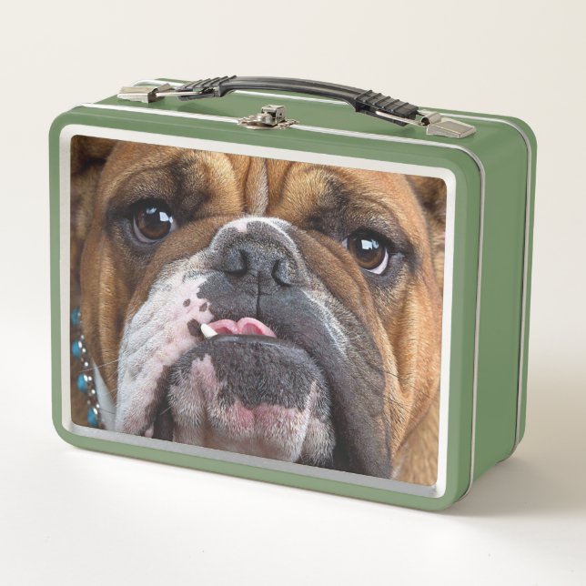 Lunch Box Oreillers à lancer de Bulldog anglais (Devant)