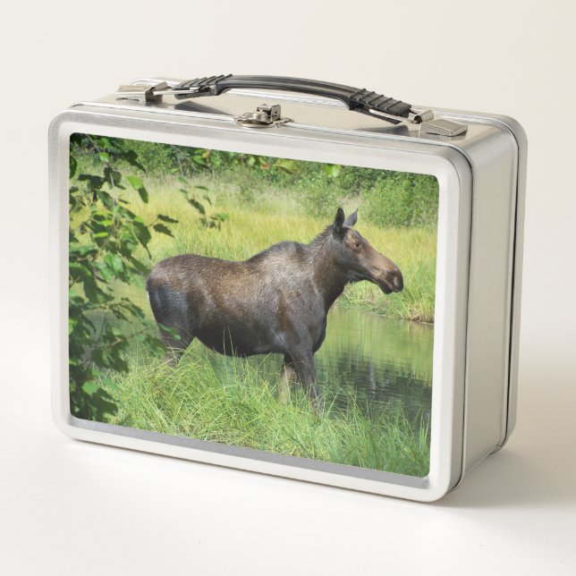Lunch Box Orignal (Devant)