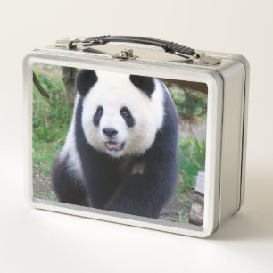 Lunch Box Panda_20190301_par_JAMFoto