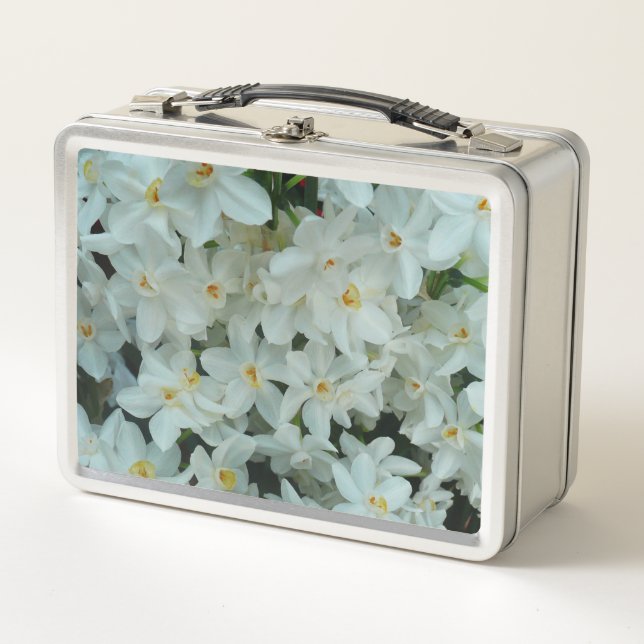 Lunch Box Paperwhite Narcissus Fleurs blanches délicates (Devant)