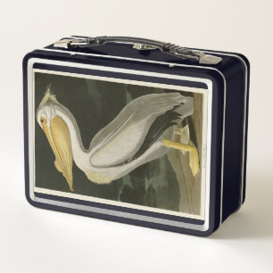Lunch Box Pélican blanc américain, les oiseaux d'Amérique d'
