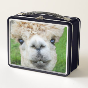 Lunch Box Photo d'alpaca curieux