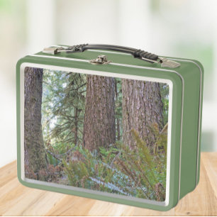 Lunch Box Photo de la forêt de Conifer géante