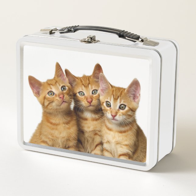 Lunch Box Photo principale de trois de gingembre de chat (Devant)