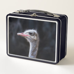 Lunch Box Photographie d'autruche