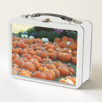 Photographie de récolte d'automne des citrouilles