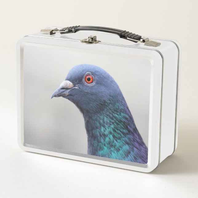 Lunch Box Pigeon affamé (Devant)
