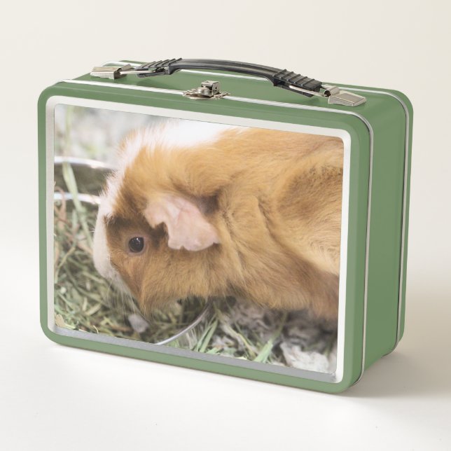 Lunch Box Piggy (Devant)