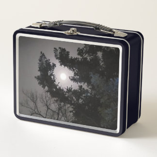 Lunch Box Pleine lune encadrée à Chamaecyparis True Blue