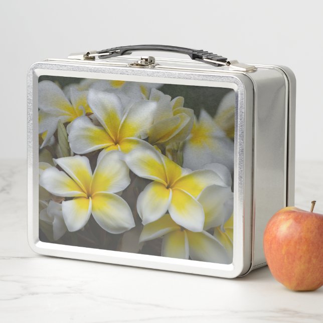 Lunch Box Plumeria, Fleur Jaune Photographie (En situation)