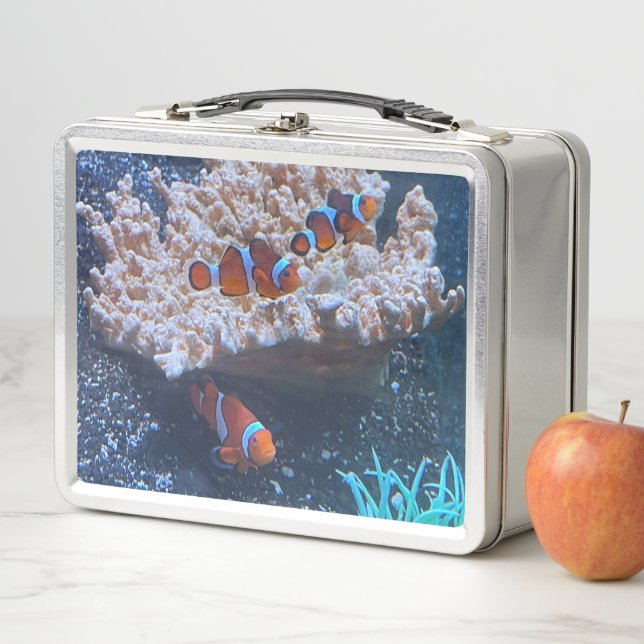 Lunch Box Poisson clown (En situation)