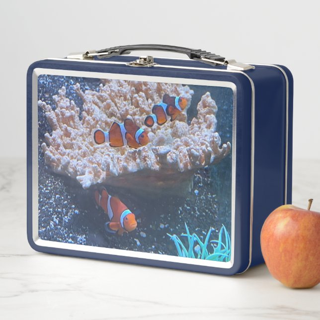 Lunch Box Poisson clown (En situation)