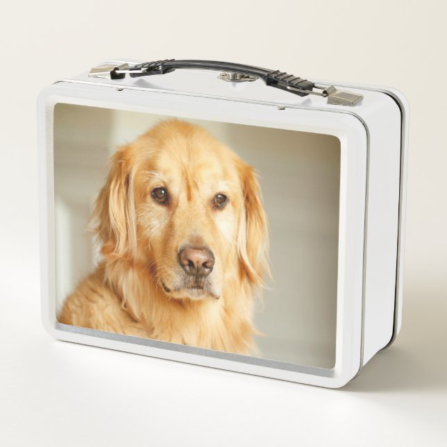 Lunch Box Portrait de Golden Retriever (Dos)