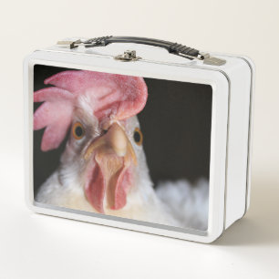 Lunch Box poule