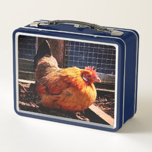 Lunch Box Poulet orange