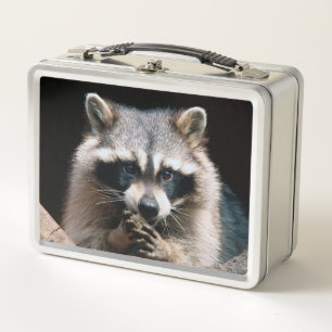 Lunch Box Raccoon 004