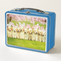 Rangée de lapins chiots