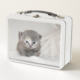 Lunch Box Regardez ce petit chaton gris
