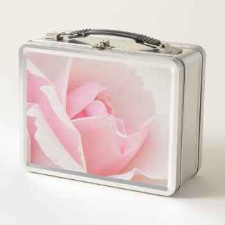 Lunch Box Rose rose
