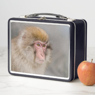 Lunch Box Singe des neiges Brown, Photographie japonaise