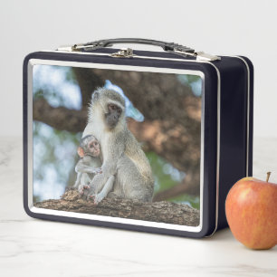 Lunch Box Singe Vervet – Portrait de la faune africaine