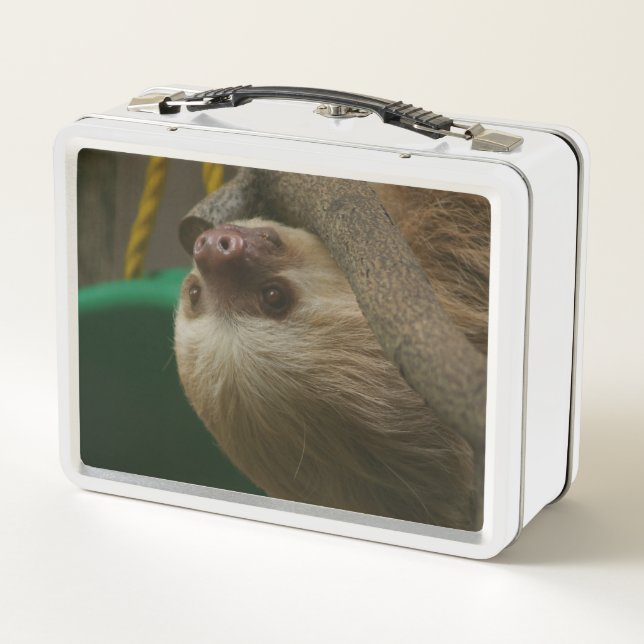 Lunch Box Sloth (Dos)