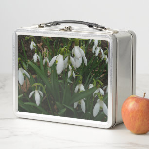 Lunch Box Snowdrops I