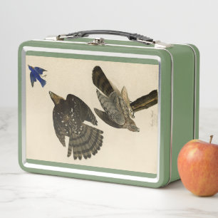 Lunch Box Stanley (Cooper's) Hawk Audubon's Birds of America