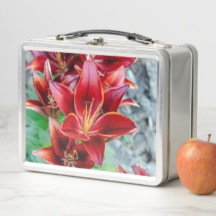 Lunch Box Stargazer Lily, Photographie à fleurs rouges
