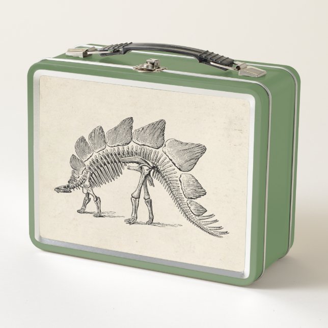 Lunch Box Stegosaurus Dinosaure Squelette Fossile (Devant)