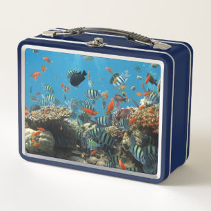 Lunch Box Stripey Poisson Tropical Coral Chaos
