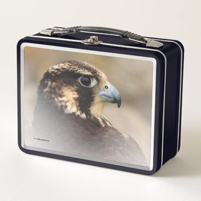 Lunch Box Superbe profil Vigné d'un faucon pèlerin (Devant)
