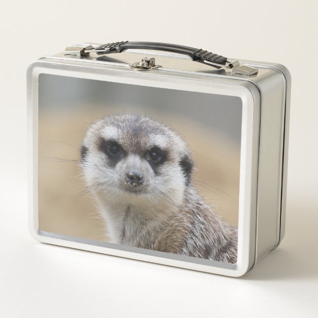 Lunch Box Suricate 022 (Devant)