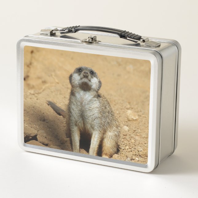 Lunch Box Suricate 031 (Devant)