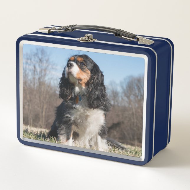 Lunch Box Tri Couleur Cavalier King Charles Spaniel (Devant)