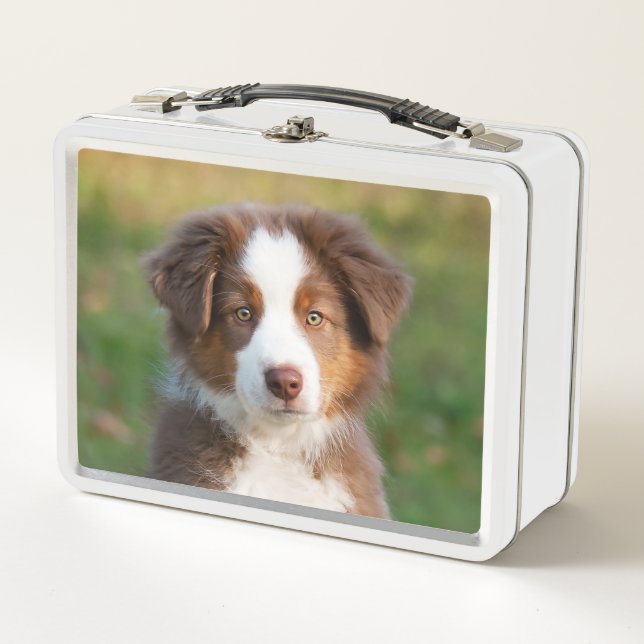 Lunch Box Tri photo australienne rouge mignonne de chiot de (Devant)