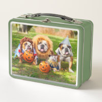 Trois Bulldogs en costumes