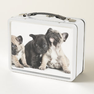 Lunch Box Trois Carlins