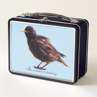 Lunch Box Un étourneau 