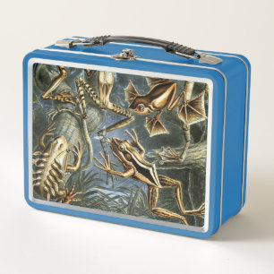 Lunch Box Variété d'Ernst Haeckel de grenouilles exotiques :