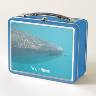 Lunch Box Whaleshark Fermer Portrait Ocean Australia