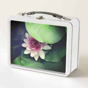 Lunchbox Lotus Flower Photography