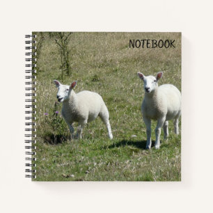 Lundy Island Lambs Notizbuch